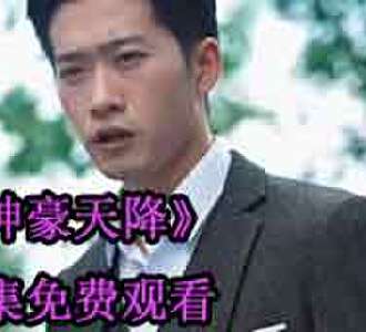 神豪天降林豪最后结局怎么样