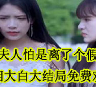 陆夫人怕是离了个假婚真相大白大结局