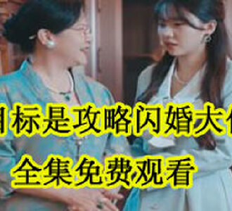 目标是攻略闪婚大佬全集免费
