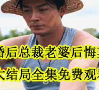 离婚后总裁老婆后悔莫及韩三千大结局在哪看