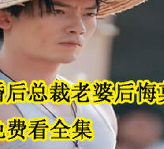 离婚后总裁老婆后悔莫及免费看全集