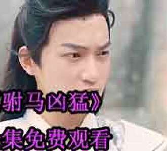 驸马凶猛林风的扮演者是谁