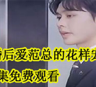 先婚后爱范总的花样宠妻大结局结婚
