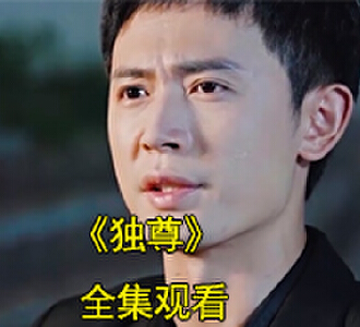 独尊电视剧大结局怎么样
