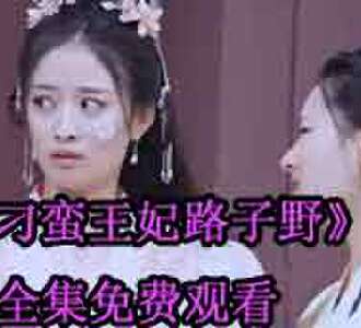 刁蛮王妃路子野楚天歌是谁演的