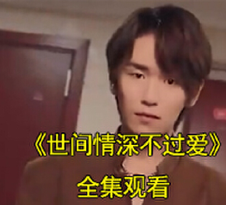世间情深不过爱林初霁陆琰秀恩爱后续在哪看
