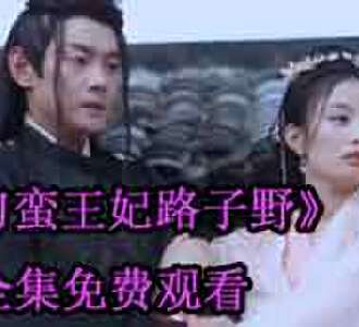 刁蛮王妃路子野借剑后续怎么样