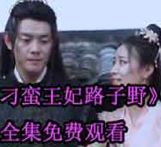 刁蛮王妃路子野1-100大结局免费观看