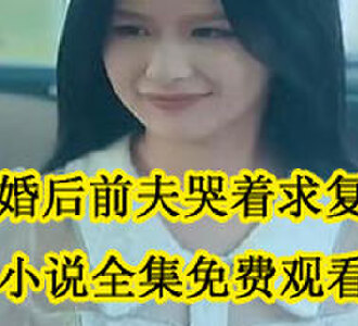离婚后前夫哭着求复婚小说全集