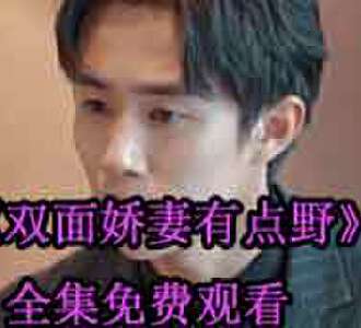 双面娇妻有点野陆幼梨生孩子是多少集