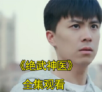绝武神医1-100集免费在线观看