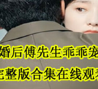 闪婚后傅先生乖乖宠我完整版合集