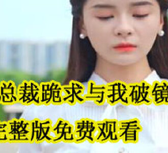 病娇总裁跪求与我破镜重圆完整版免费观看