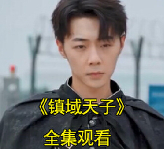 镇域天子全集完整版观看