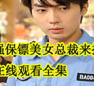 最强保镖美女总裁来抢婚刘凡方茴在线观看全集