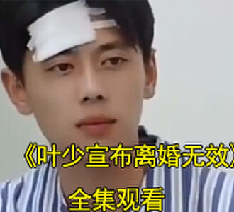 叶少宣布离婚无效网剧完结了吗