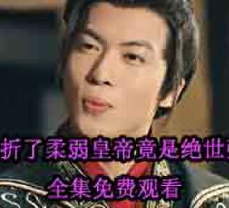 夭折了柔弱皇帝竟是绝世强龙全集免费观看
