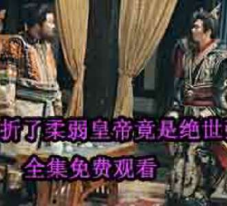 夭折了柔弱皇帝竟是绝世强龙完整版合集免费看