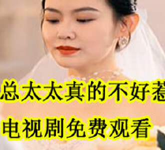魏总太太真的不好惹电视剧免费观看