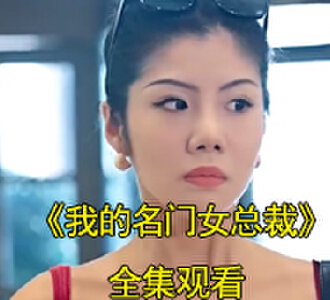 我的名门女总裁电视剧完结了吗