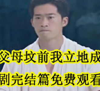 林凡短剧完结篇免费观看