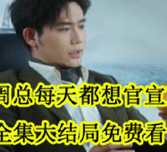 周总每天都想官宣全集大结局免费看