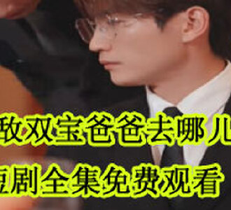 无敌双宝爸爸去哪儿了1-101全集