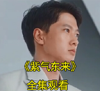 紫气东来1-100全集免费观看