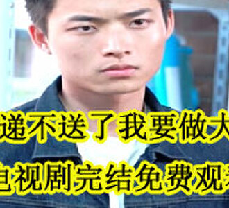 李跃电视剧完结免费观看