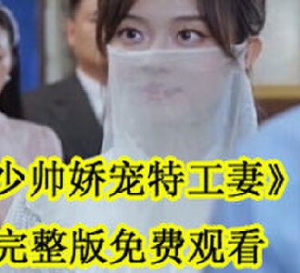少帅娇宠特工妻明家宴会后续