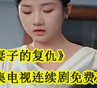 妻子的复仇全集电视连续剧