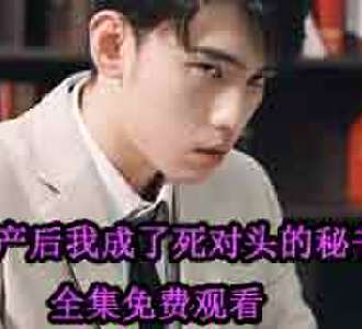 破产后我成了死对头的秘书完整版免费看