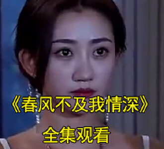 春风不及我情深网剧合集免费观看