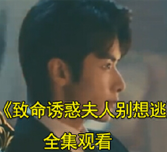 致命诱惑夫人别想逃1-101集在线观看