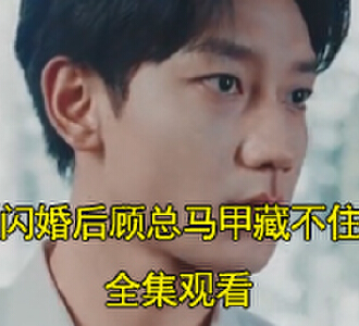 闪婚后顾总马甲藏不住了71-80集合集