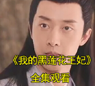 我的黑莲花王妃唐诗宋辞大结局