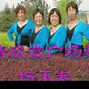 傷不起32（廣場舞）賈莊廣場舞 流暢