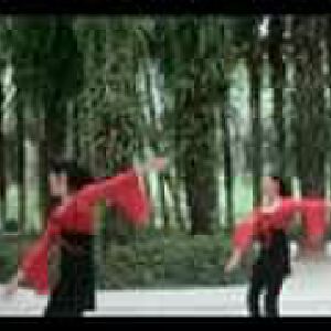 山茶廣場(chǎng)舞想西藏背面動(dòng)作分解