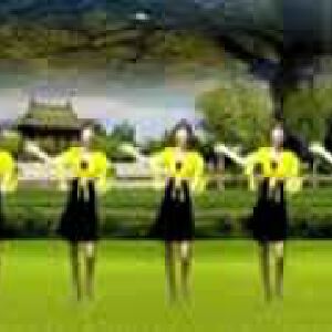 雨蝶广场舞 借点情借点爱 广场舞教学视频 广场舞