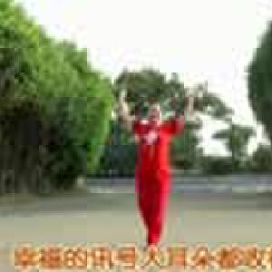 盧姨廣場(chǎng)舞兔俠功夫操（2015.01.10）