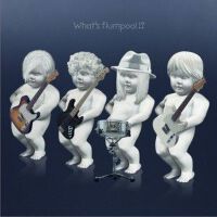 What s flumpool!?