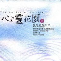 看见风的脚印