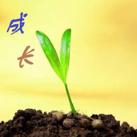成长（伴奏）