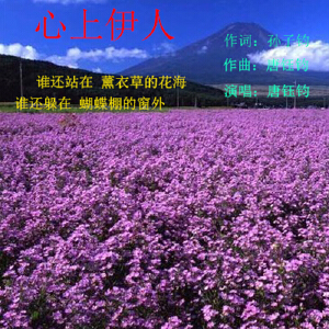 心上伊人