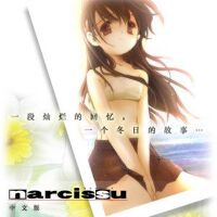 Narcissu 水仙