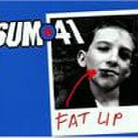 Fat Lip